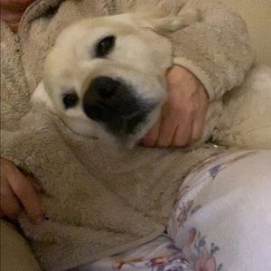 Meet your Posher, Jessie